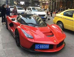 汽车蓝牌多少厘米